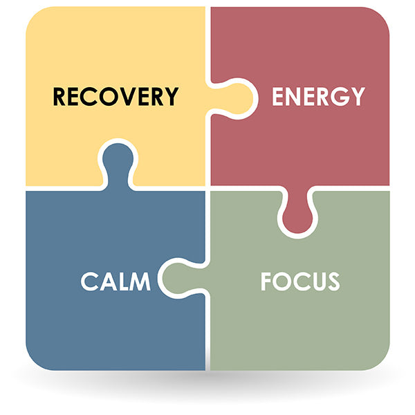 Four puzzle pieces with words 'Recovery', 'Energy', 'Calm', and 'Focus' on a white background.
